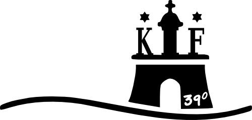 Datei:Logo390.png